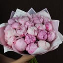 Букет пионов 25 штук