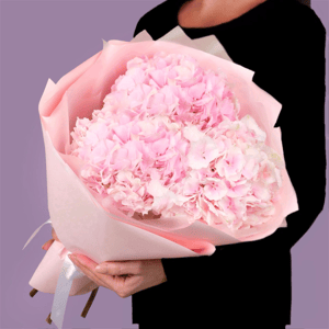 Букет из розовых гортензий в упаковке