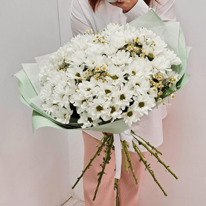 Букет «Кустовая хризантема с ромашкой»