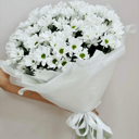 Букет «9 белых хризантем-ромашек в упаковке»