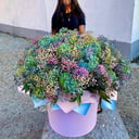 Шляпная коробка с цветами «Букет микс из гортензий и гипсофил»