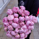 Букет 35 пионов