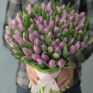 Букет «101 фиолетовый тюльпан»
