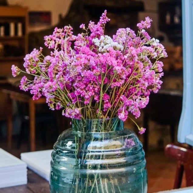 Floristería de barrio en Valencia