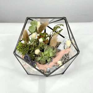 Кошачьи прогулки в саду