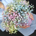 Шляпная коробка с цветами «Композиция "Радуга"» из гипсофил