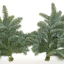 Нобилис Лапник Еловый 2 банча