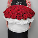 Коробка с цветами «Ред Наоми 51шт» из роз