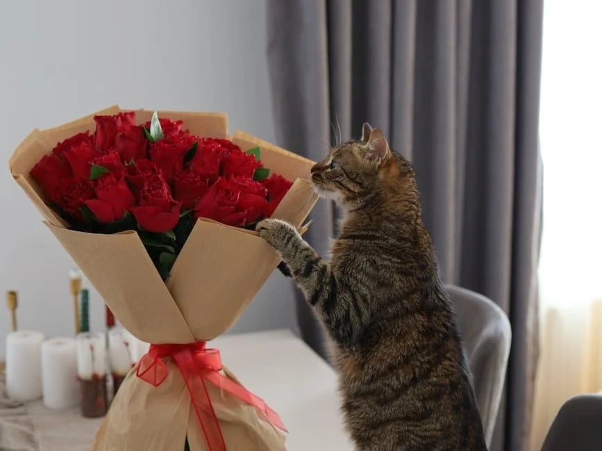Pet-safe flower bouquet on a table