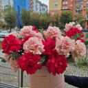 Цветочный Дисконт центр Aлая Роза