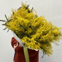 Букет «Мимоза душистая пушистая»