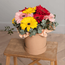 Композиция Нежность в шляпной коробке из гербер