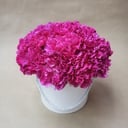 Коробка с цветами «Розовая мечта» из гвоздик