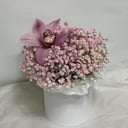 Шляпная коробка с цветами «Гипсофила с орхидеей в коробке»