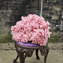 Букет "Фэйф" из роз