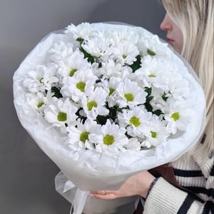 Букет из 5 хризантем Рейган, арт.1247