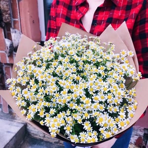 Полевой букет в крафте