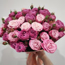 Букет «Пионовидная роза Бомбастик»