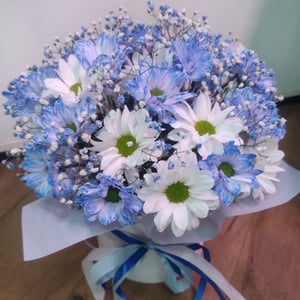 Шляпная коробка с цветами «Композиция "Ромашка" голубая» из хризантем и гипсофил