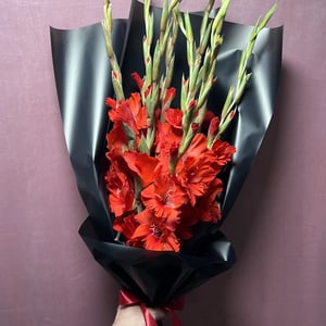 Букет «Алые гладиолусы 9 шт black»