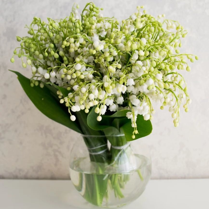 Bouquet de muguet pour le 1er mai