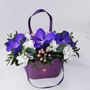 Композиция «Орхидеи Ванда в сумочке»