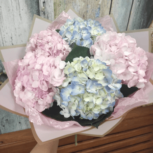 Классический букет из 5 гортензий микс