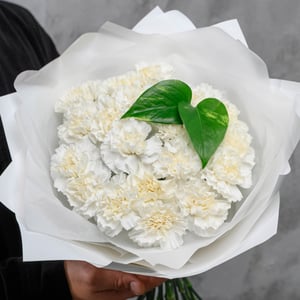 Букет «19 нежных голландских гвоздик зимний»