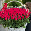 101 красная роза в корзине