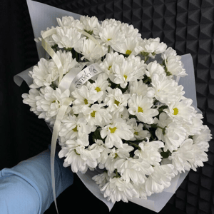 Букет «Хризантема кустовая ромашка 9 штук»