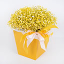 Коробка с цветами «Golden Sands» из гипсофил