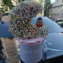 Гипсофила в шляпной коробке с киндером!