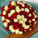 Букет «101 краснобелая роза»