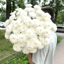 Букет «Хризантема белая 15 шт»