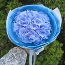 Букет большая гортензия