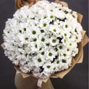 Букет из 15 кустовых хризантем