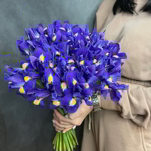 Букет «35 ирисов»