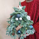 Композиция «Ёлочка из нобилиса»