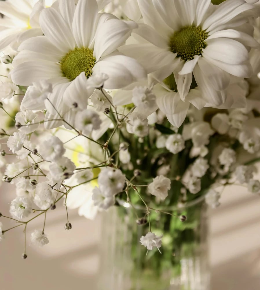 Fresh daisy bouquet