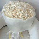 Моно из 7 стабилизированных гортензий