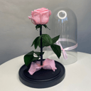 Розовая роза в колбе L