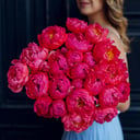 Коралловые пионы 25 штук