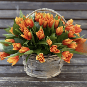 Букет из 51 тюльпана в корзине