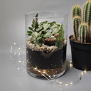 Композиция «Флорариум»