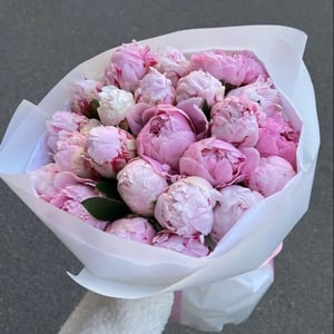 Пионы 21шт букет