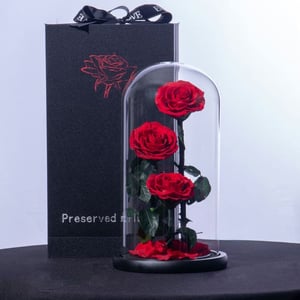 Forever розы красного цвета