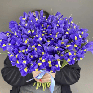 Букет 51 ирис