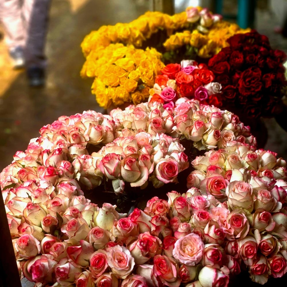 India Flower Delivery | Send Flowers to India from Local Florists