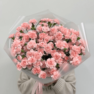 Букет «Гвоздика кустовая 49 веточек»