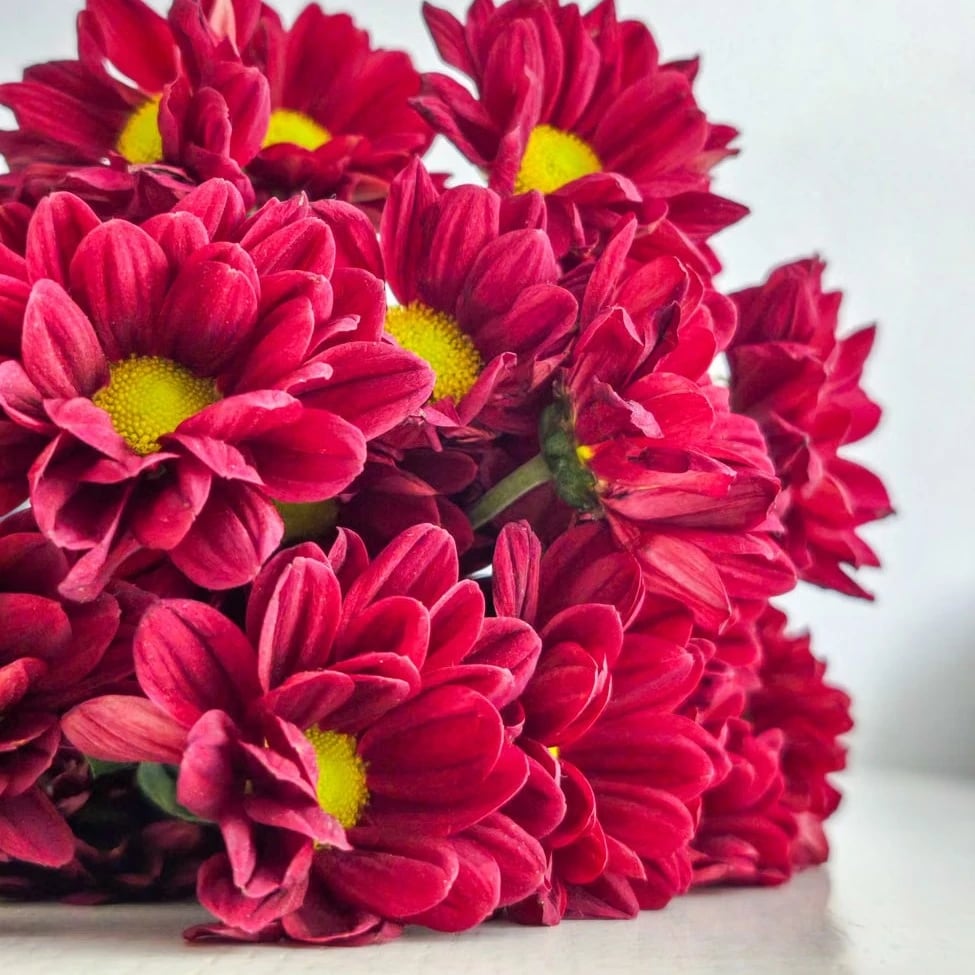 Fresh flowers Virginia Beach